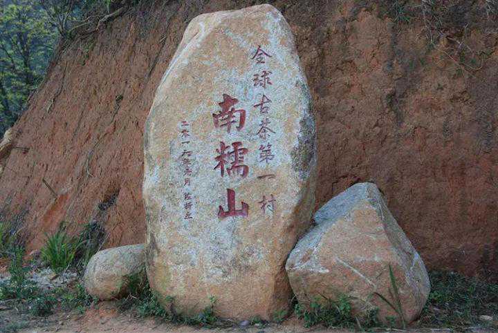 盘点南糯山有哪些名寨好茶，口感特点是怎样的，建议收藏