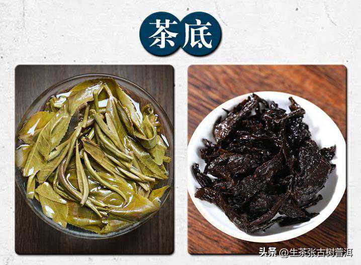 从三角检、黑商检、红商检说开，简单聊聊下关茶厂的一路征程