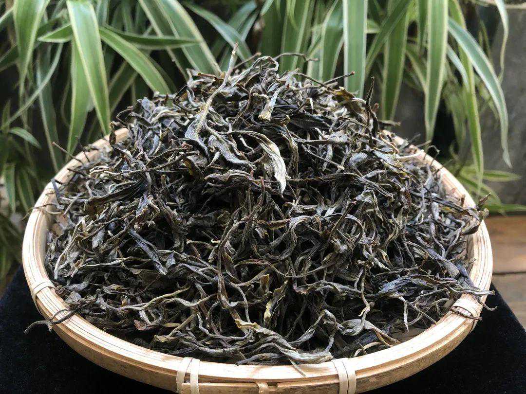 《老徐鉴茶》第582期：2022头春磨烈古树茶品鉴报告