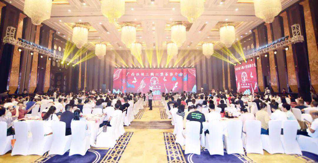 魅力三鹤，闪耀鹏城 | 三鹤六堡茶深圳推介会成功举办