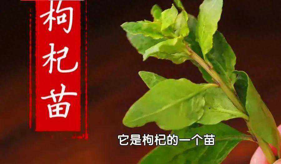 豆芽、香椿靠边，它才是春季第一芽！肝脏干净、眼睛明亮，简单一炒好吃不上火