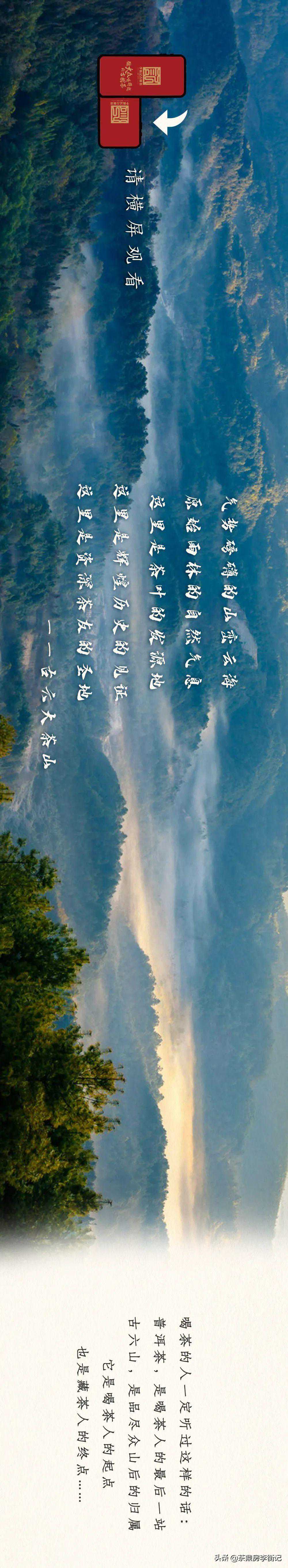 为什么说古六山是喝茶人的起点，也是藏茶人的终点？
