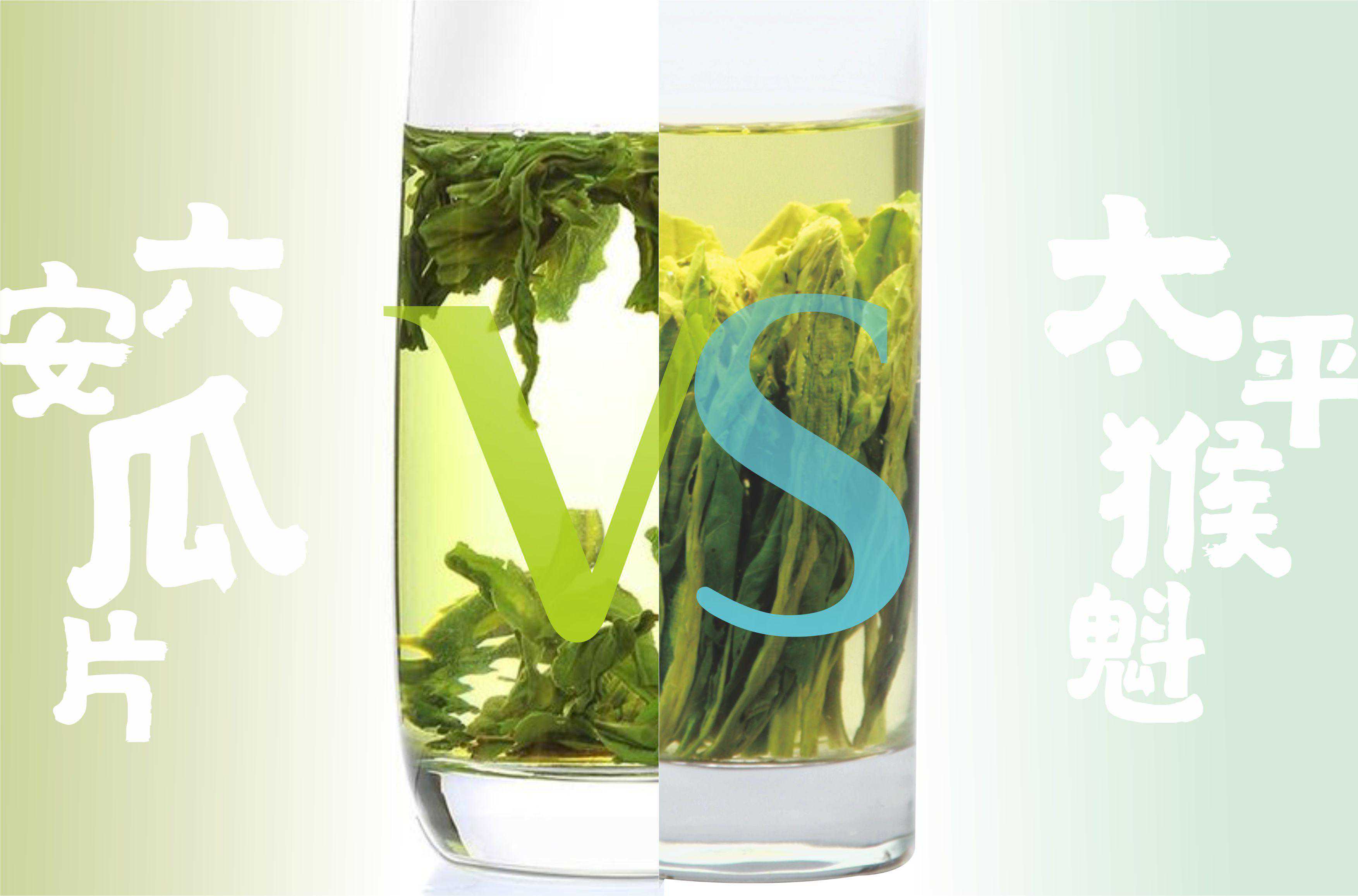 中国十大名茶的安徽内部赛？六安瓜片与太平猴魁的对冲评测来了