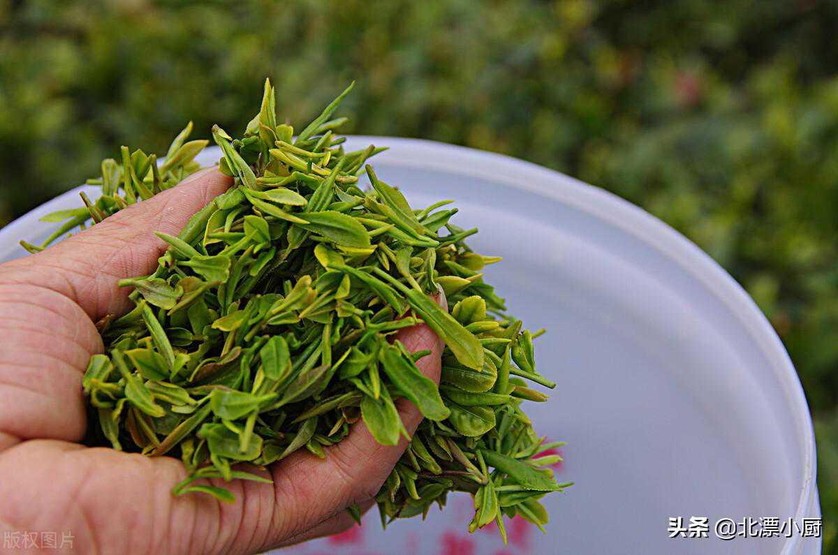 “明前茶”和“明后茶”有啥区别？哪种茶更好？涨知识了