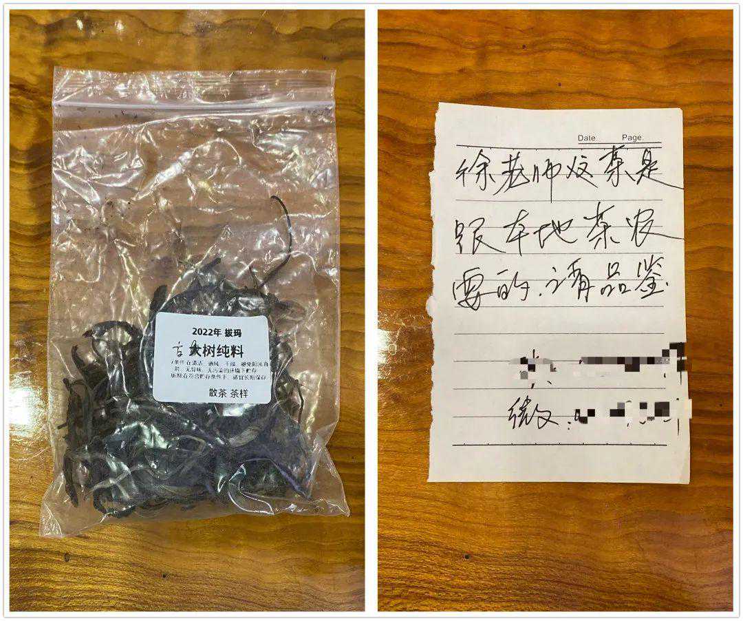 《老徐鉴茶》543期：2022年拔玛古树纯料品鉴报告（广西茶友寄）