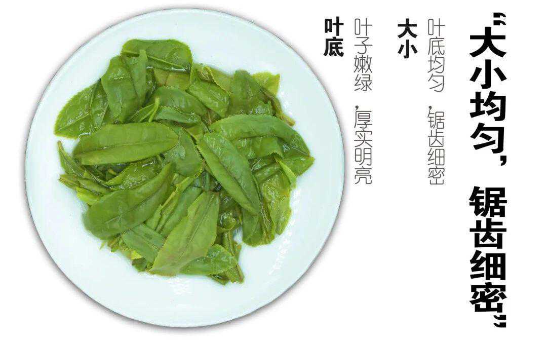 最经典的10首茶诗，幽人对饮，心下快活，让人忘记尘世烦恼