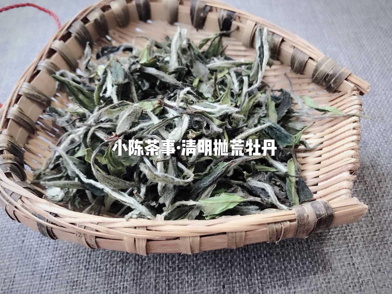 一篇文章说尽白茶的养生功效，一年茶，三年药，七年宝到底对不对