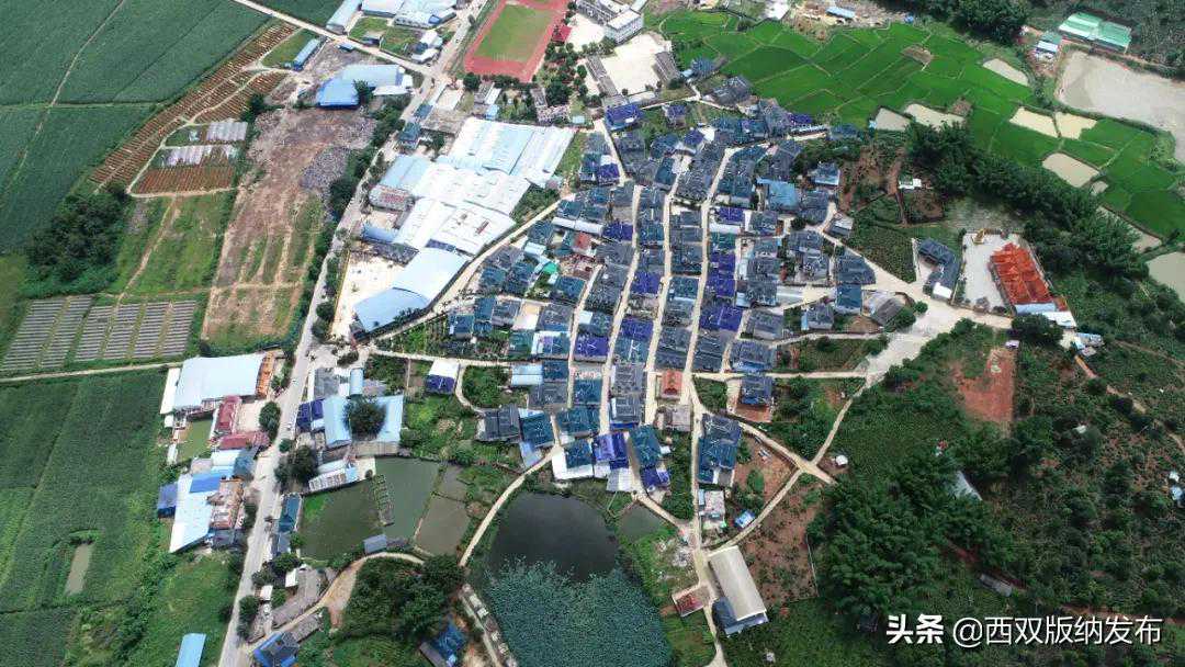 【西双版纳州实施“三抓三促”强化千里边疆党建长廊】(32)曼岗：党建引领群团联动 共建和谐温馨家园