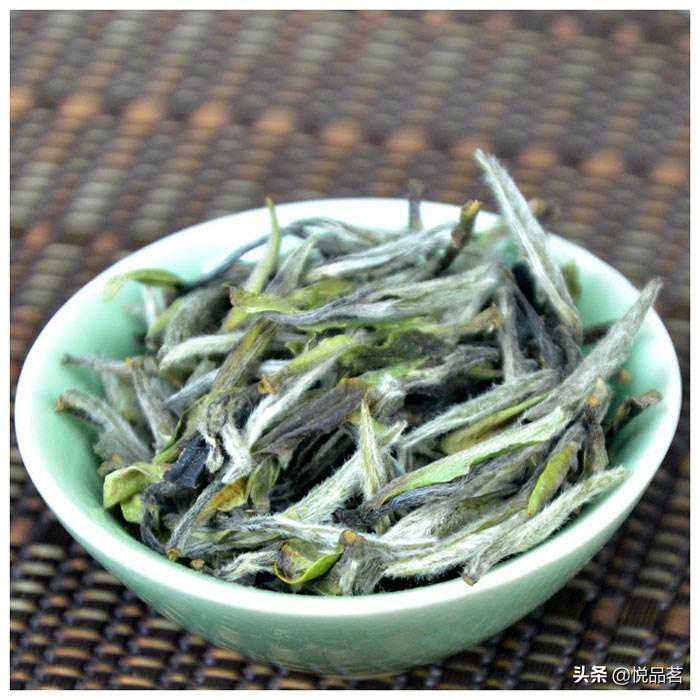 白牡丹茶叶选购的技巧有哪些？如何才能买到品质好的白牡丹？