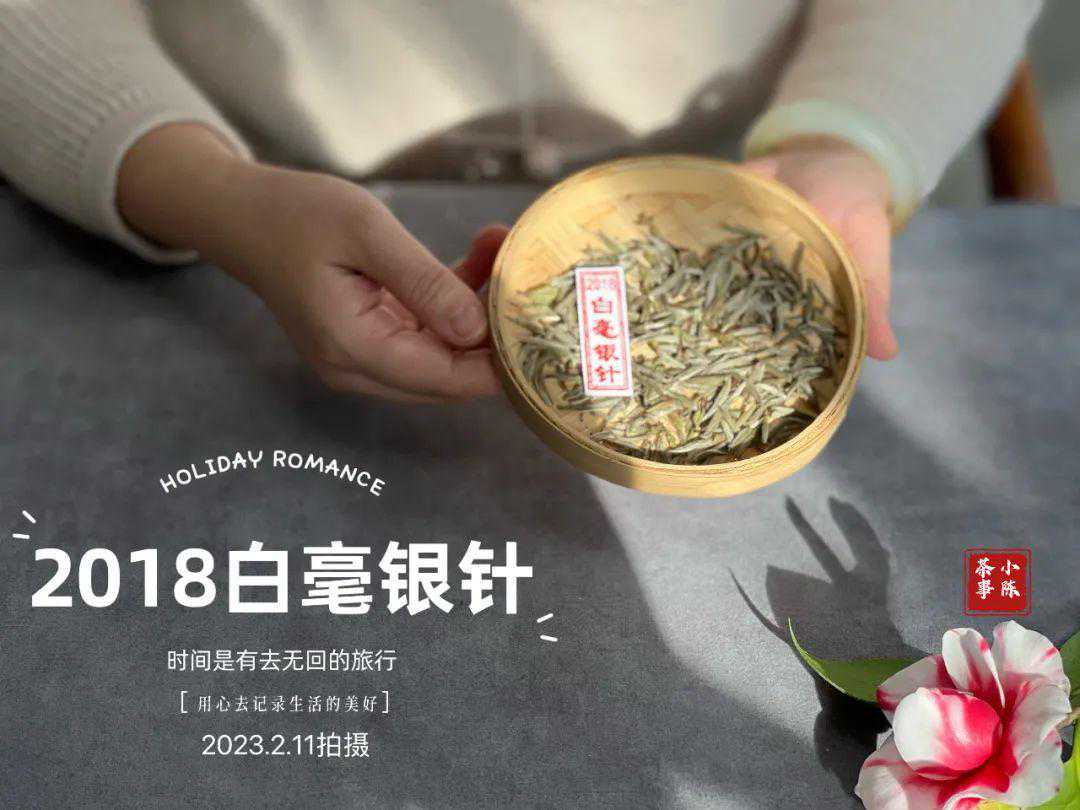 白毫银针究竟是纯芽头好？还是带小叶子的好？茶山实拍图拿给你看