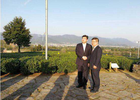 50亿松阳绿茶市场亟需升级 中国绿茶产业网上线主打源头好茶