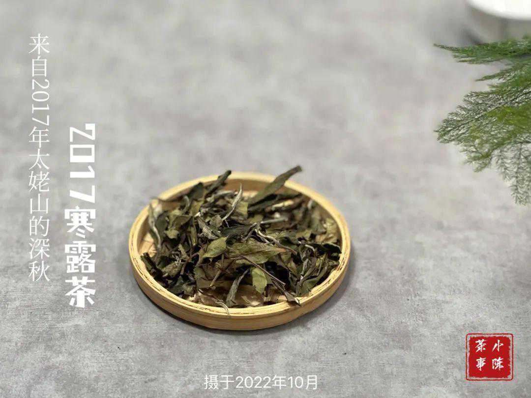 白茶的保质期是多长？放了10年以上的白茶，还能继续喝吗？