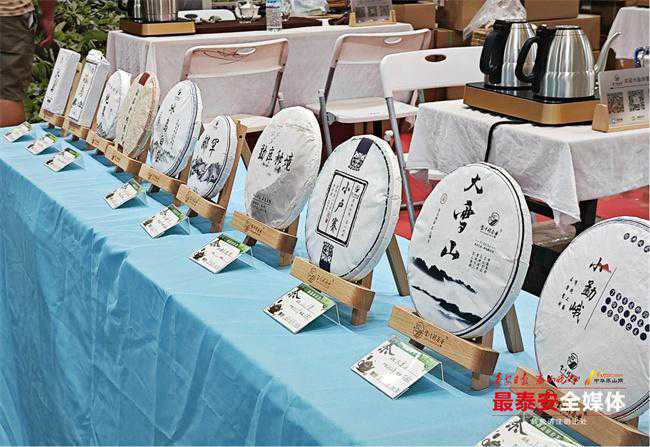 2023年全国茶叶展览会（泰安站）开幕！不出泰安品遍全国好茶