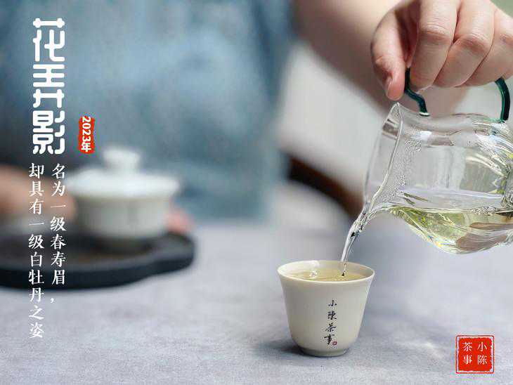 9块9半斤的白茶，真的能买吗？请问多少钱一斤的白茶才算正常？