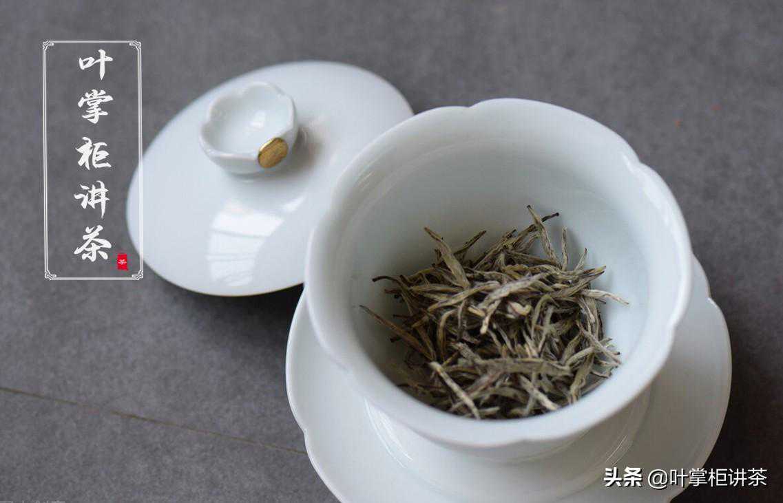 福建白茶你了解多少 ?白茶真的是越老越有价值吗？该如何冲泡？