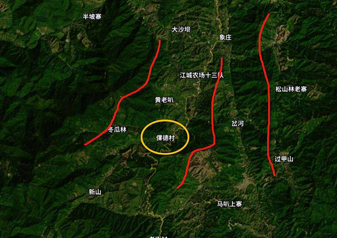 39倮德古树茶：古树茶园200亩、易武七村八寨之一、氨基酸5.01。