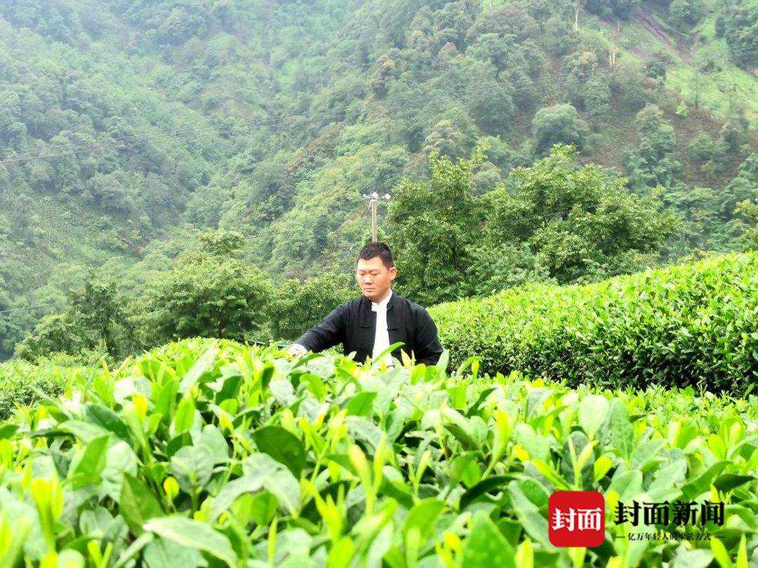 国家高级评茶师、制茶师罗顺兵家庭：人生如茶，历经沉浮终归宁静｜天府好家规