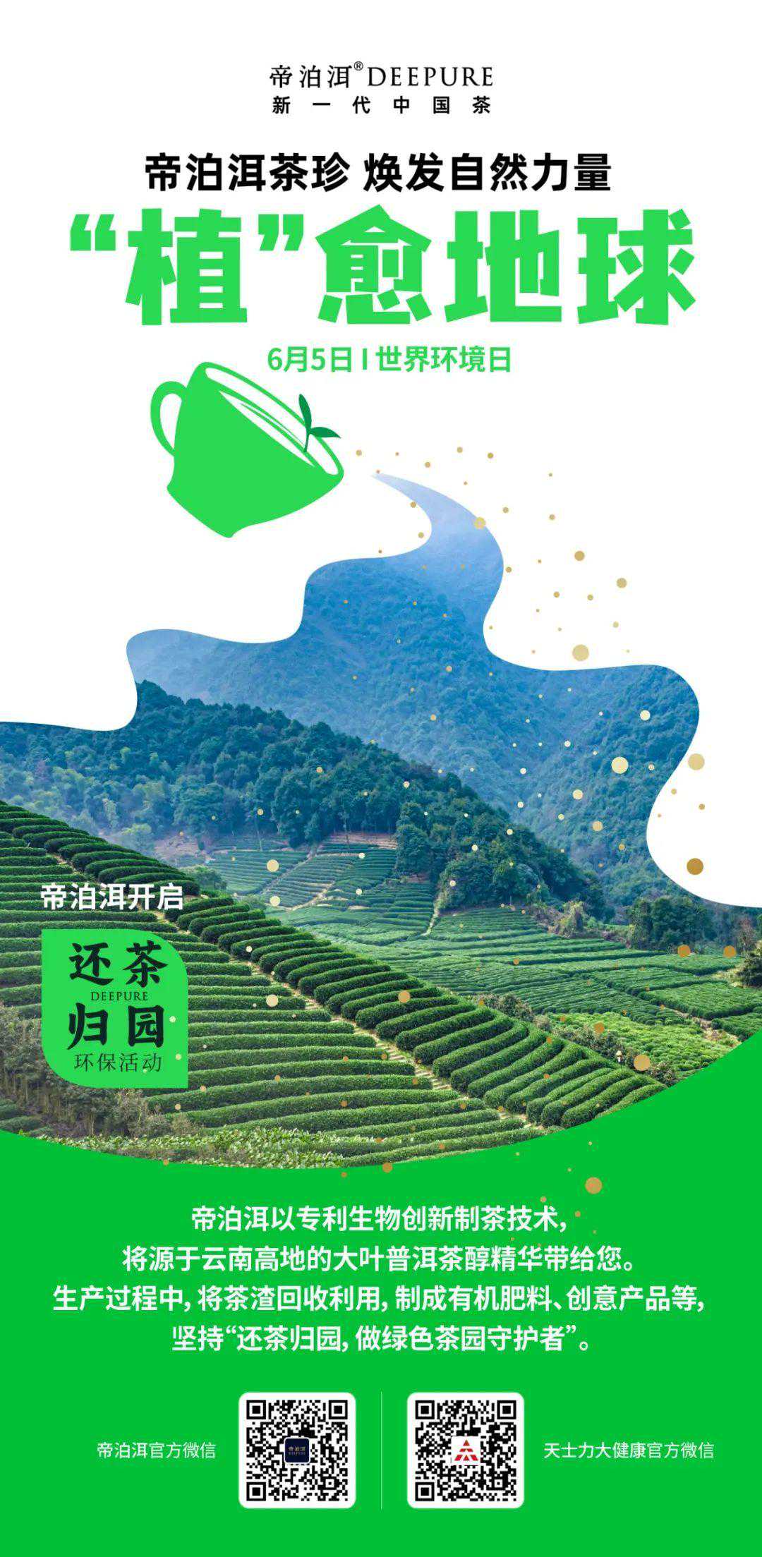世界环境日 | 帝泊洱茶珍焕发自然力量 “植”愈地球