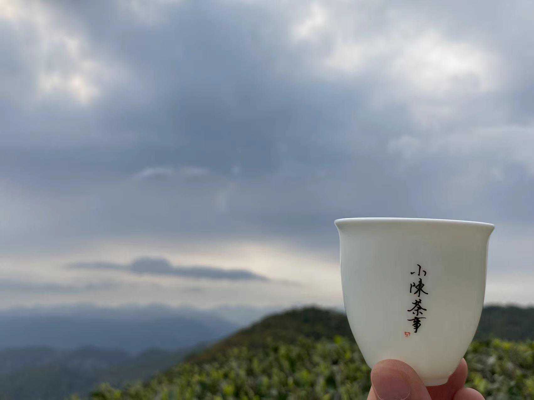 又到一年清明，万物生长，春和景明。收下这4点窍门，轻松淘好茶