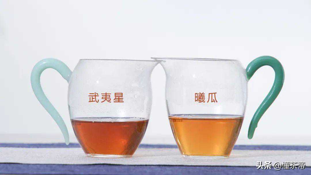 大红袍评测 | 两款线上畅销口粮茶PK，你买对了吗？