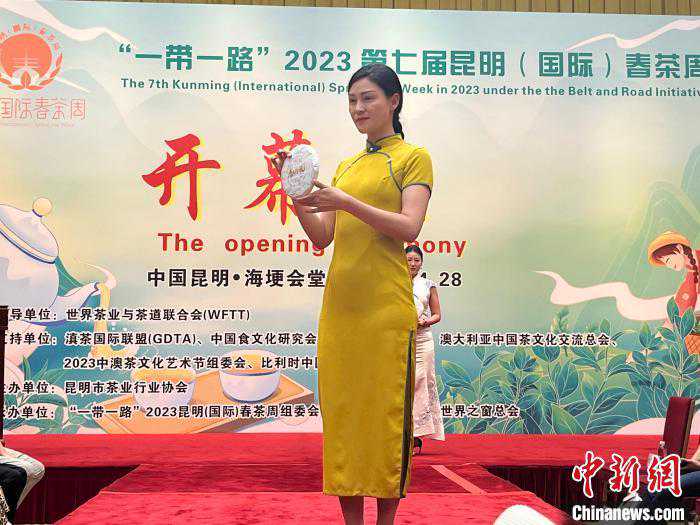 云南普洱茶百余著名山头春茶价格发布 最高每公斤5万元