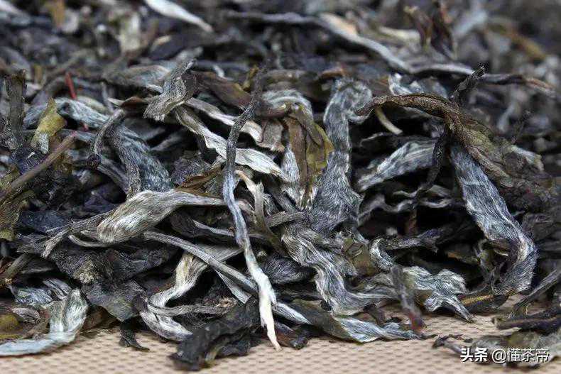喝了那么久普洱茶，你知道老班章、冰岛等名寨的汉语意思吗？