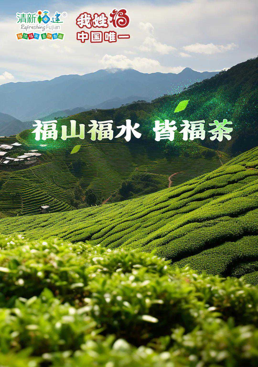 我姓“福” 中国唯一 | “福建茶”有多牛？这里认第二，没人敢第一！