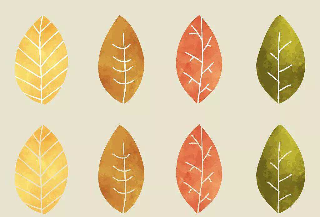 2022年最受欢迎普洱茶企排名，沁轩阁再次登榜，中茶不是榜首