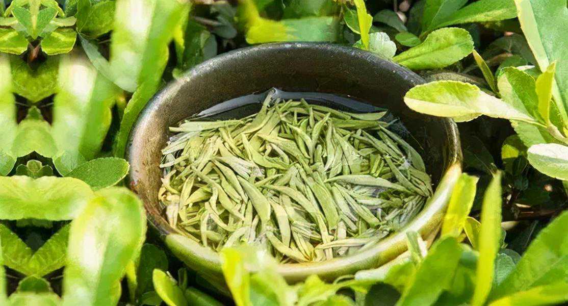 无锡茶，二泉水，江苏茶香的惬意生活