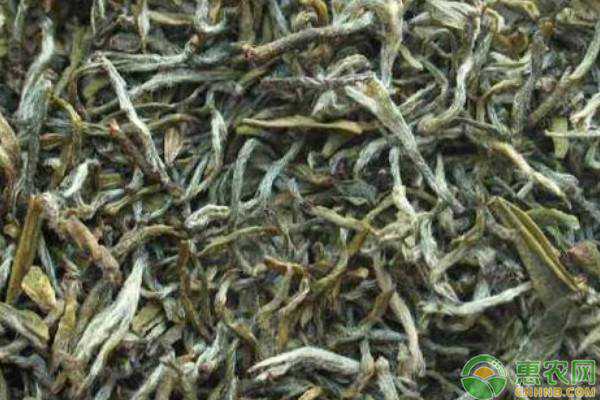 毛尖茶多少钱一斤？毛尖的功效与作用