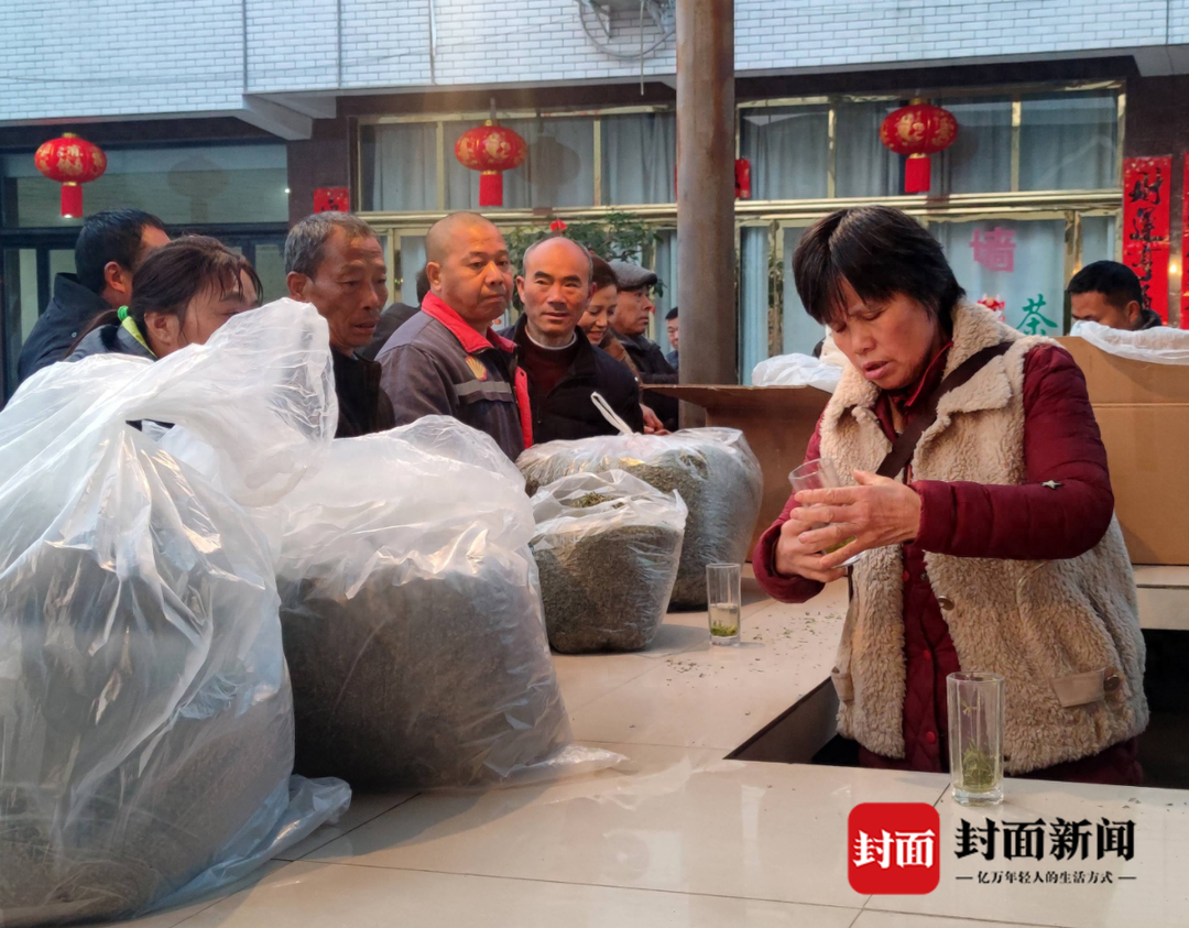 抢春茶啦！四川眉山最大茶叶交易市场迎来头茶交易热