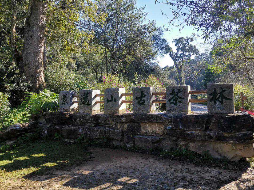 民警随笔丨景迈山的传说