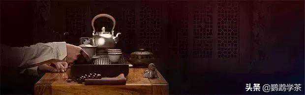 最详细的存茶方法！再也不用烦恼如何存茶！建议收藏