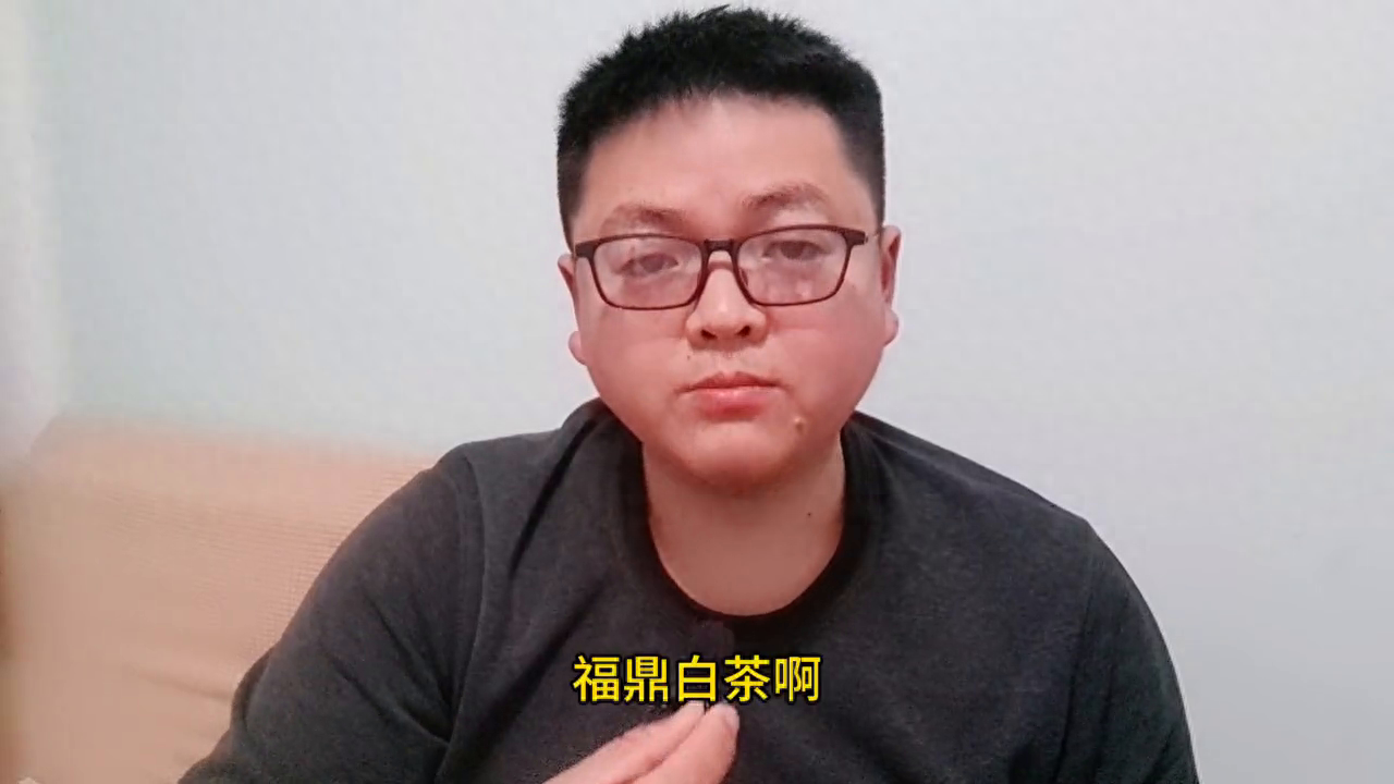 福鼎白茶与政和白茶有哪些区别？#白茶知识科普