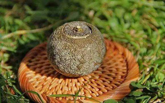 这样的小青柑或柑普茶霉变了吗？白霜、脑晶、柑油晶！