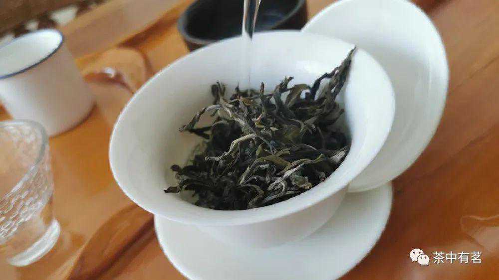 普洱茶怎么冲泡？普洱茶冲泡基本步骤，新手入门必备