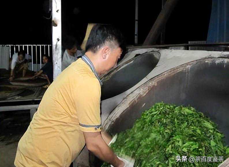 鉴茶教学‖什么是显毫？毫多是好还是坏？