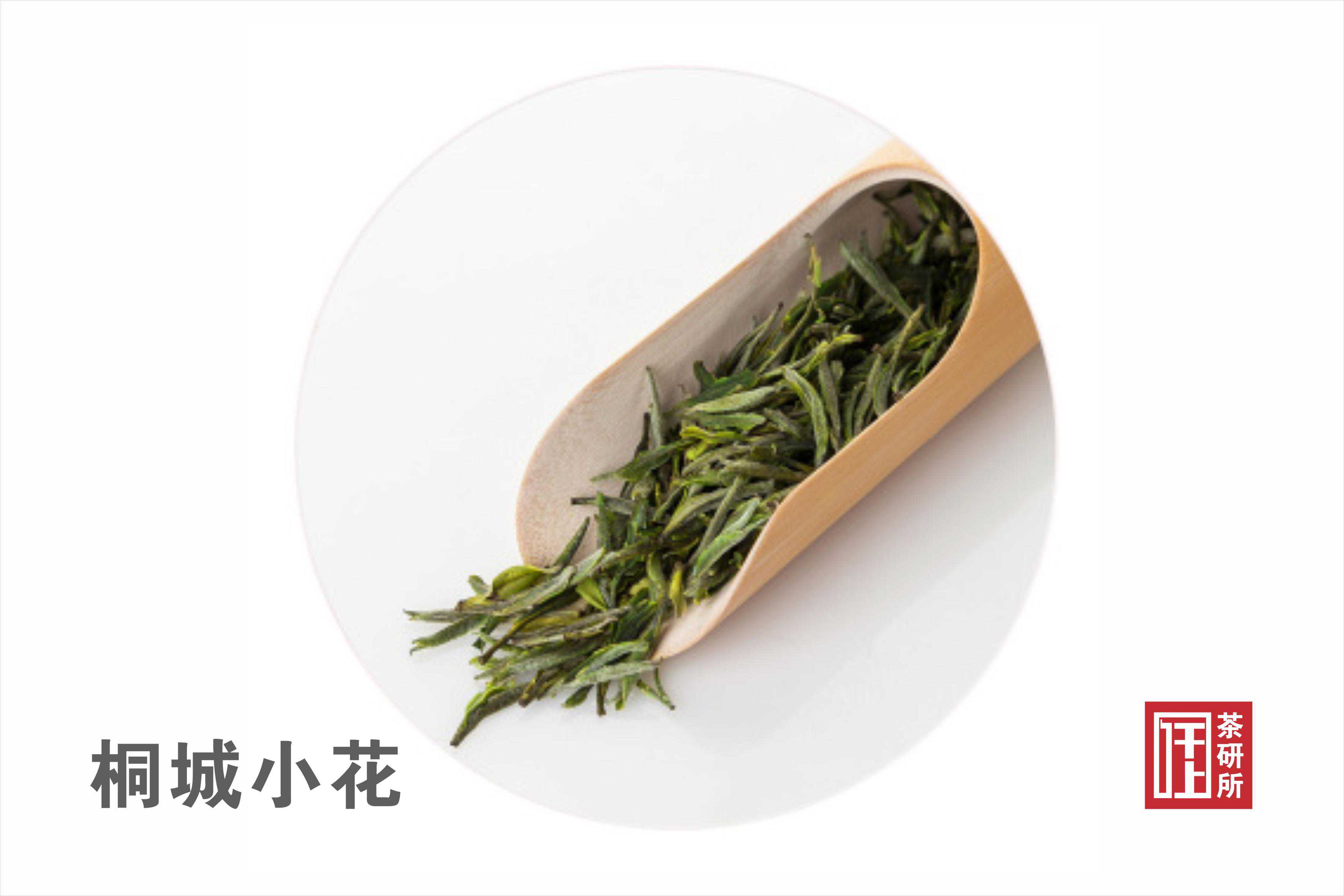 安徽十大名茶排行榜（2023）