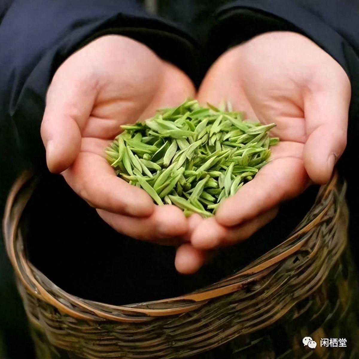 中国四大名茶，谁才是茶中之王？