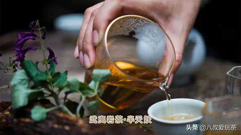 武夷名枞：半天妖？腰？鹞？夭？