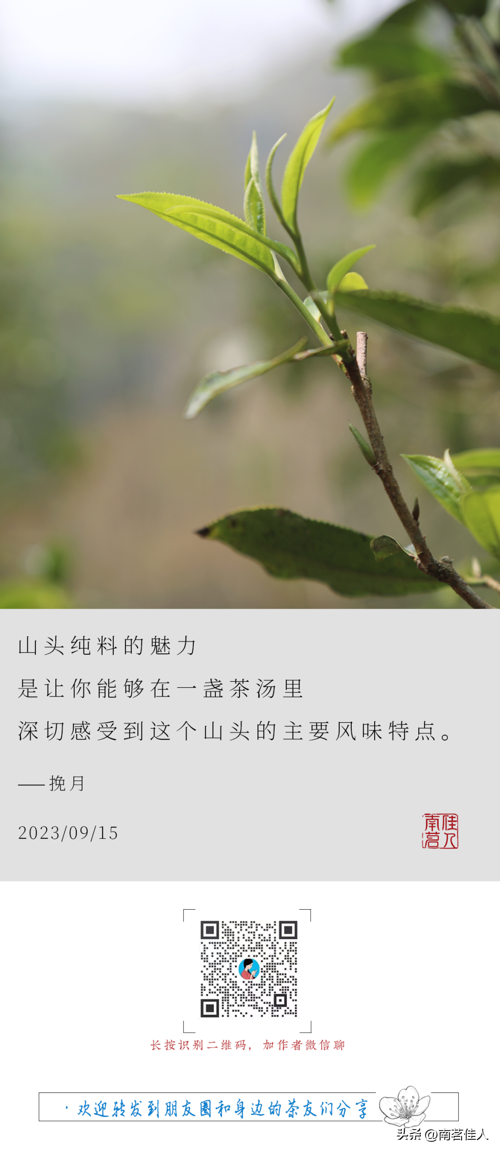 品鉴会︱第102期：盲品古六山中的三山