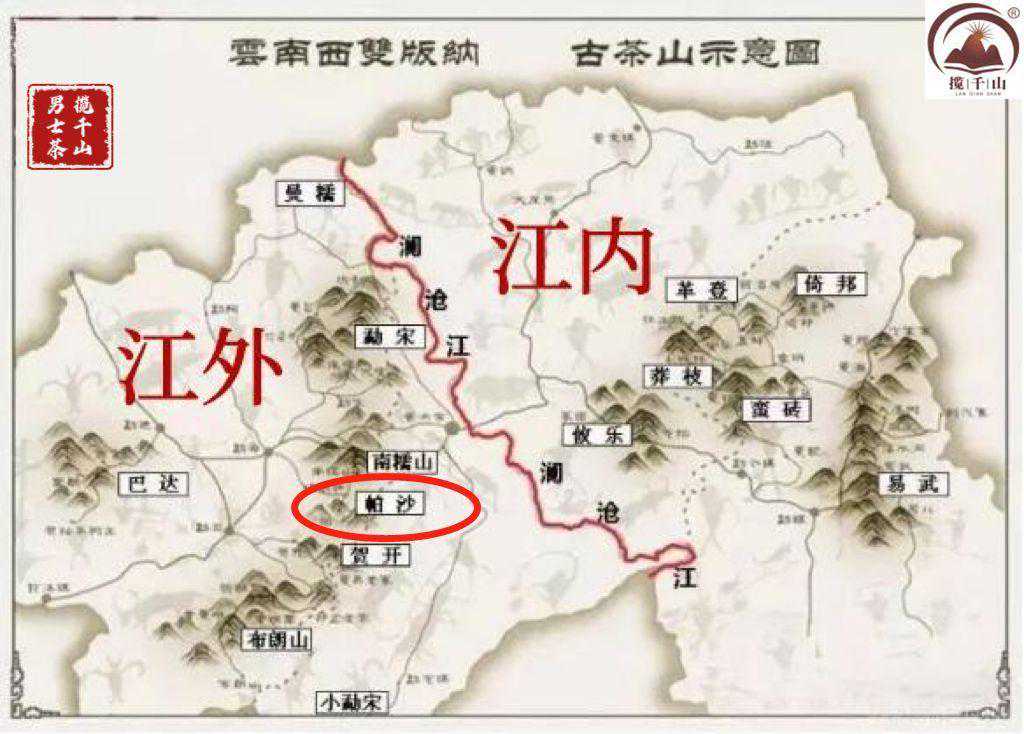 帕沙：不温不火，却私藏好茶