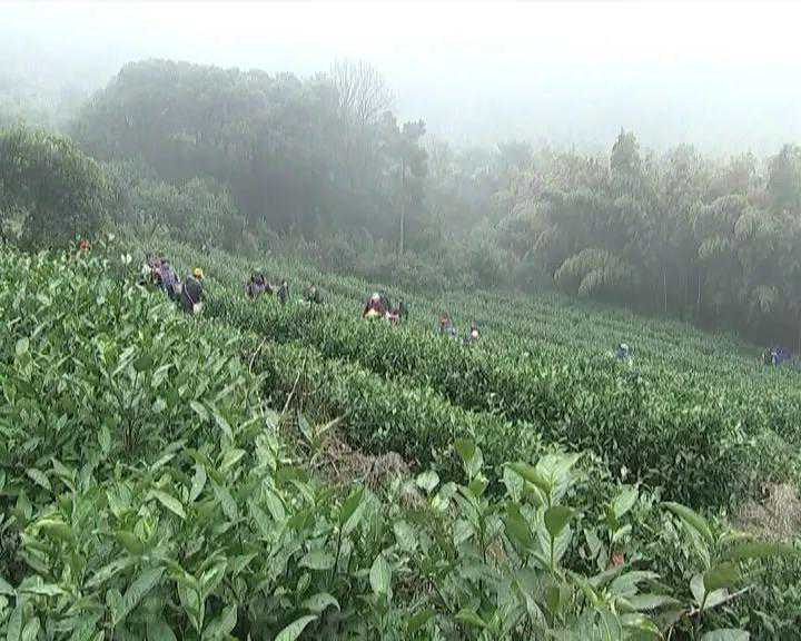 传说中的“限量版”无锡特产就要来了！