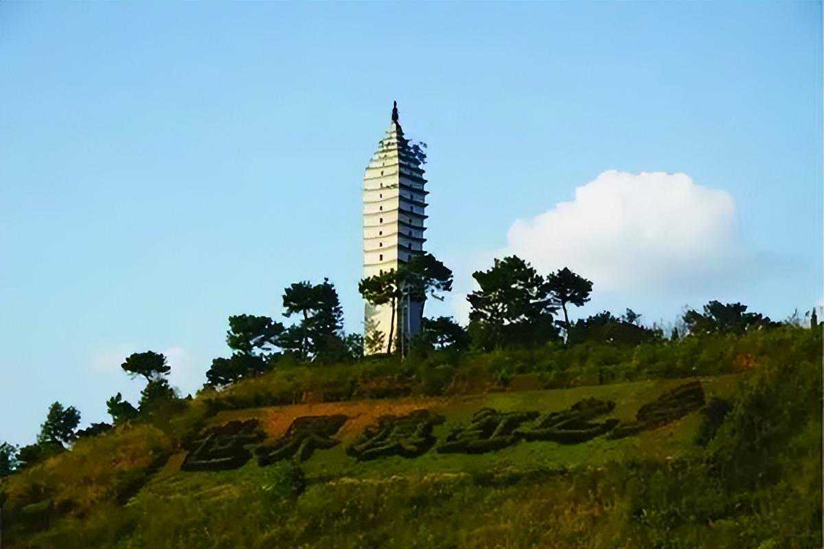 滇红的由来及生产发展史