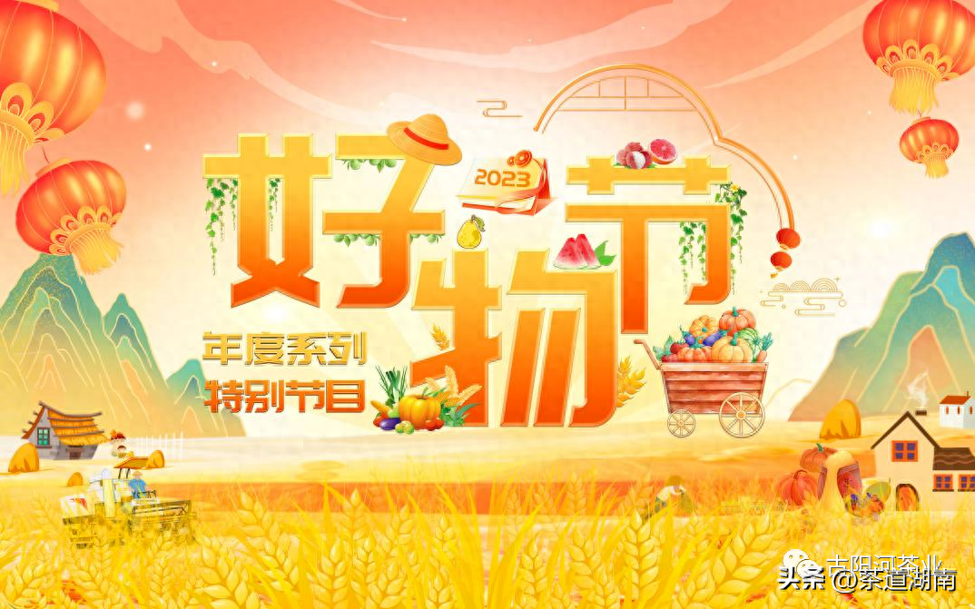 古丈毛尖亮相央视《好物节》！