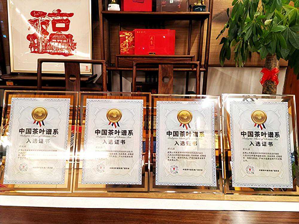 大饱口福丨专搞名丛的夷发茶叶品鉴会上 一轮12个连续年份的自然陈生肖北斗很惊艳