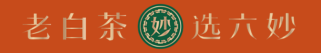 一等奖iPhone15！开茶节短视频大赛等你来“秀”！