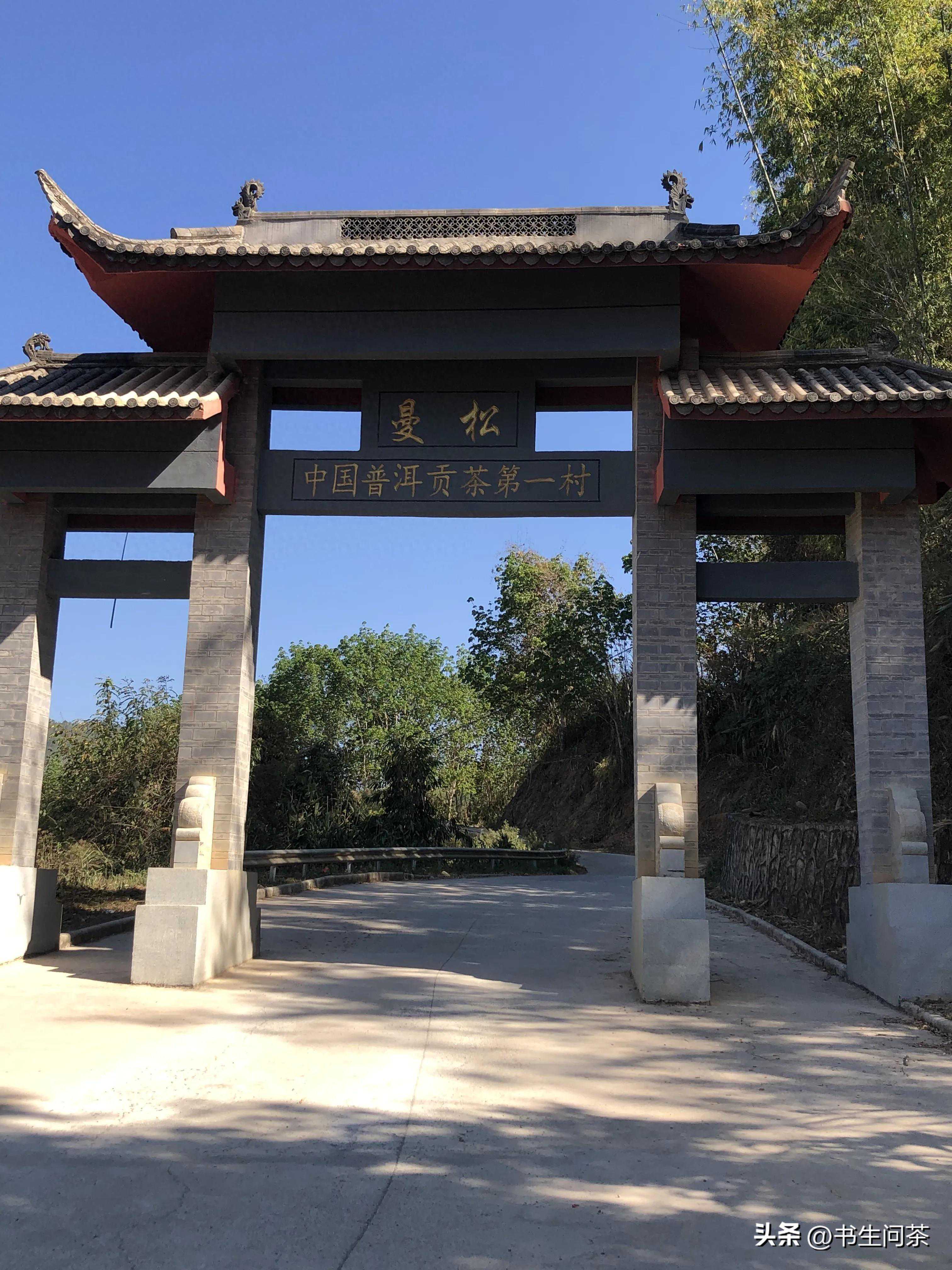 有口福的人已经喝到2024年曼松王子山头春了，今年的茶有点不一样