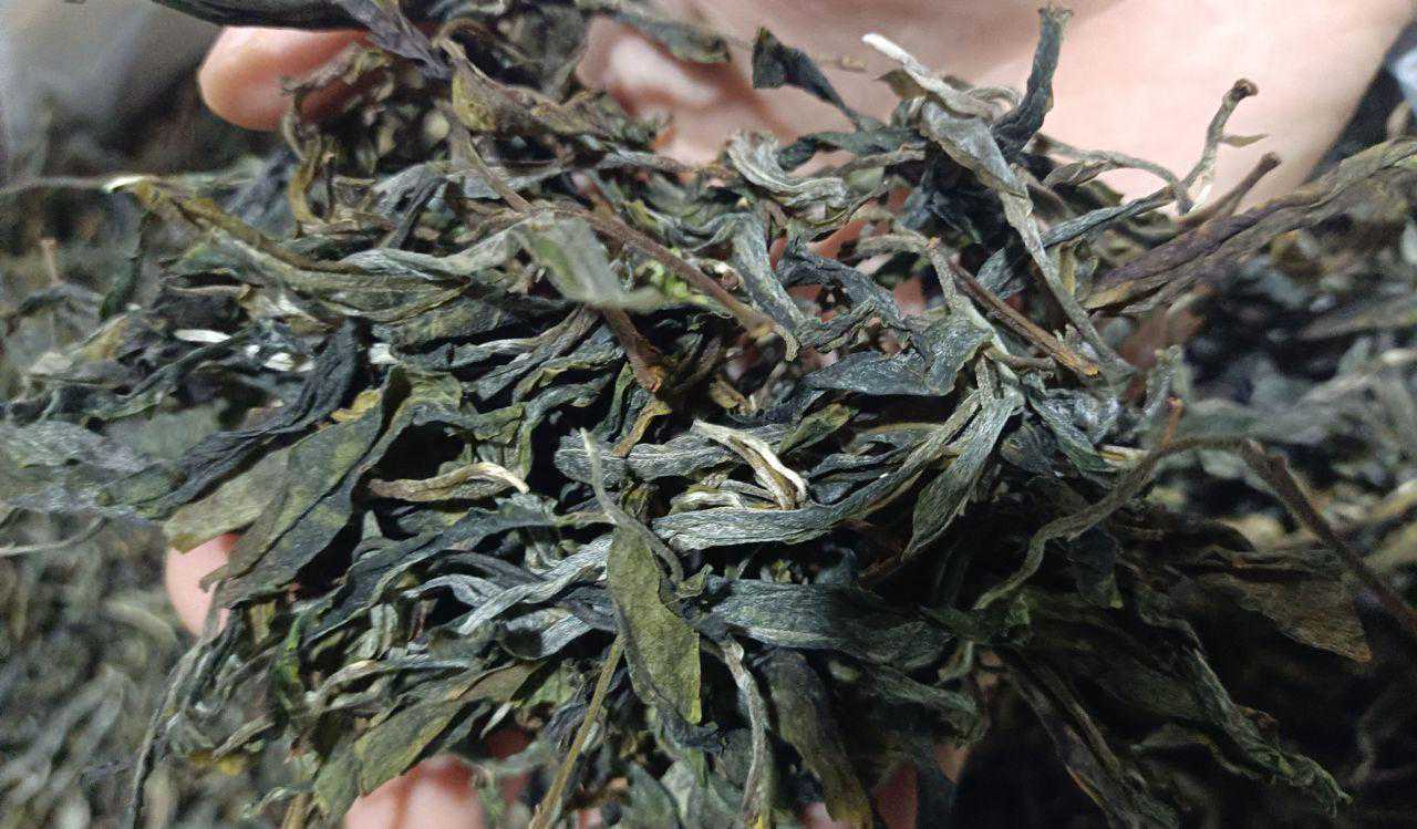 一款高端岩茶的万能养成记，无论什么品种，搭配栀子花香就高级？