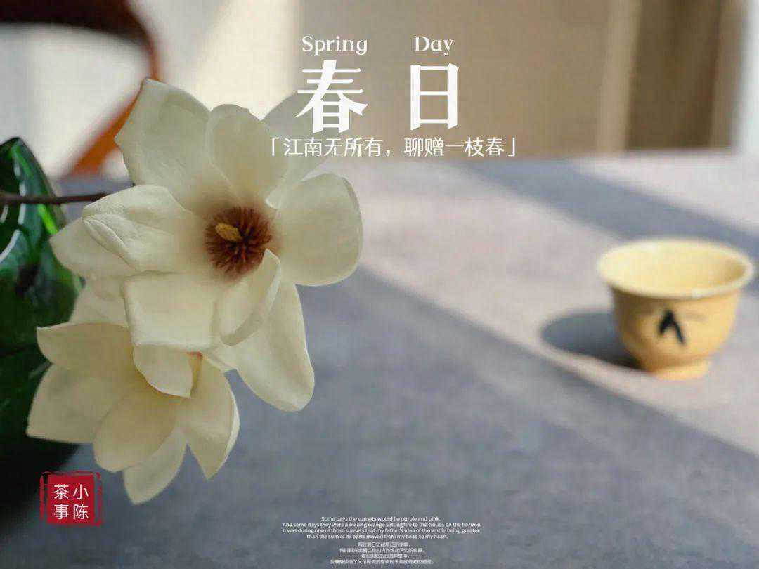 同样都是茶叶，为什么绿茶可以放进冰箱里，白茶岩茶却不可以？